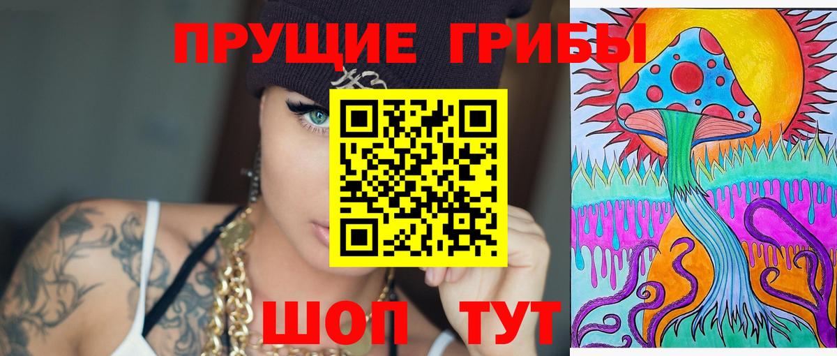 Псилоцибиновые грибы Psilocybine cubensis Петропавловск-Камчатский